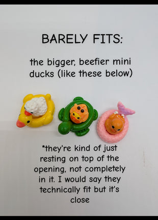 Pool Floaties for Mini Ducks