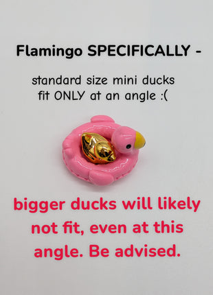 Pool Floaties for Mini Ducks