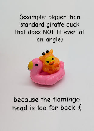 Pool Floaties for Mini Ducks