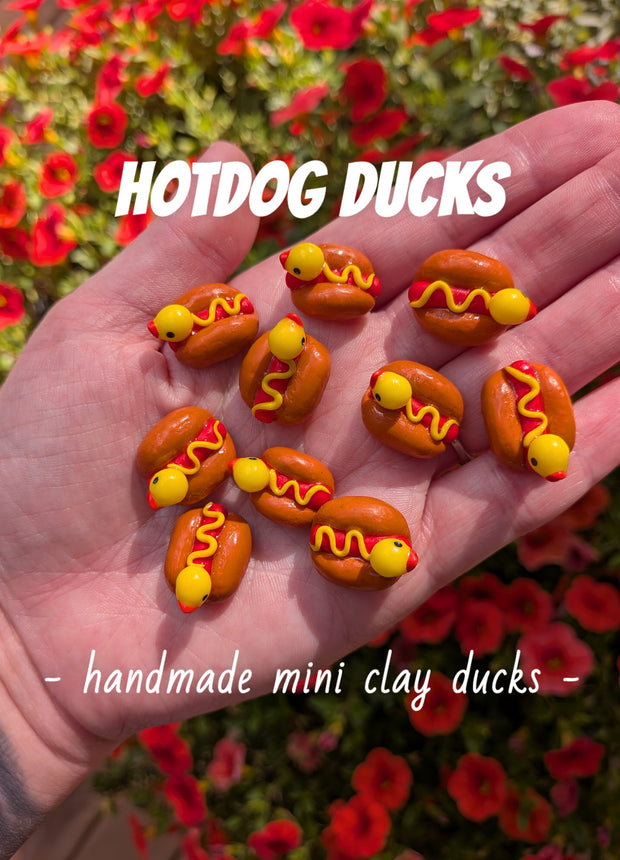 My Handmade Ducks - Hotdog, Spaghetti, Yin&Yang