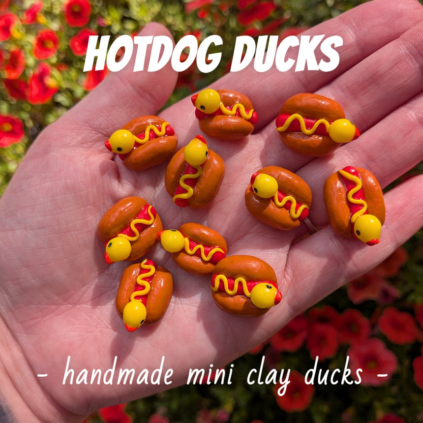 My Handmade Ducks - Hotdog, Spaghetti, Yin&Yang
