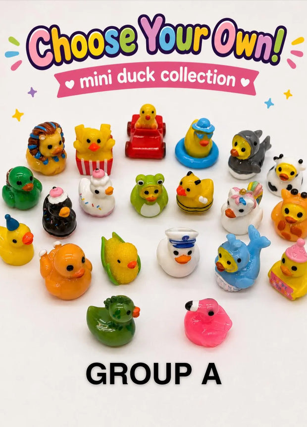 CHOOSE YOUR OWN: Mini Duck Collection (GROUP A)