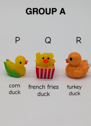 CHOOSE YOUR OWN: Mini Duck Collection (GROUP A)