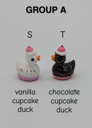 CHOOSE YOUR OWN: Mini Duck Collection (GROUP A)