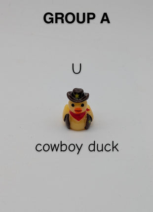 CHOOSE YOUR OWN: Mini Duck Collection (GROUP A)