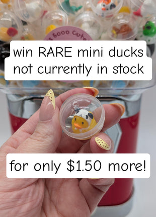 CHOOSE YOUR OWN: Mini Duck Collection (GROUP B)