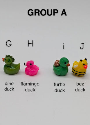 CHOOSE YOUR OWN: Mini Duck Collection (GROUP A)