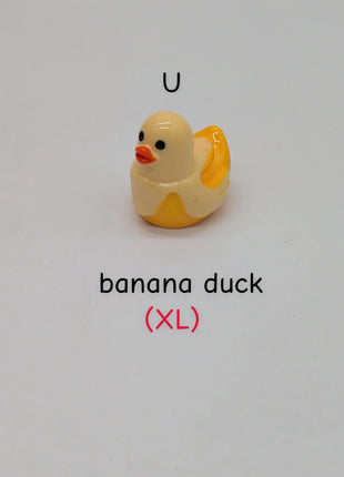 CHOOSE YOUR OWN: Mini Duck Collection (GROUP A)