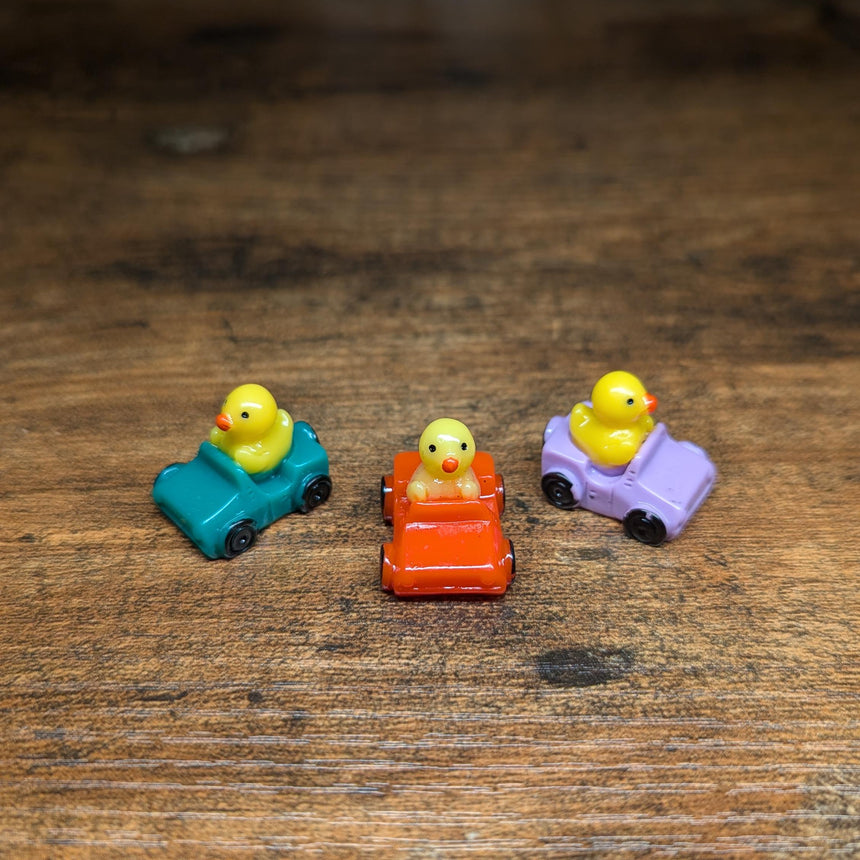 10 pc Mini Ducks in Cars