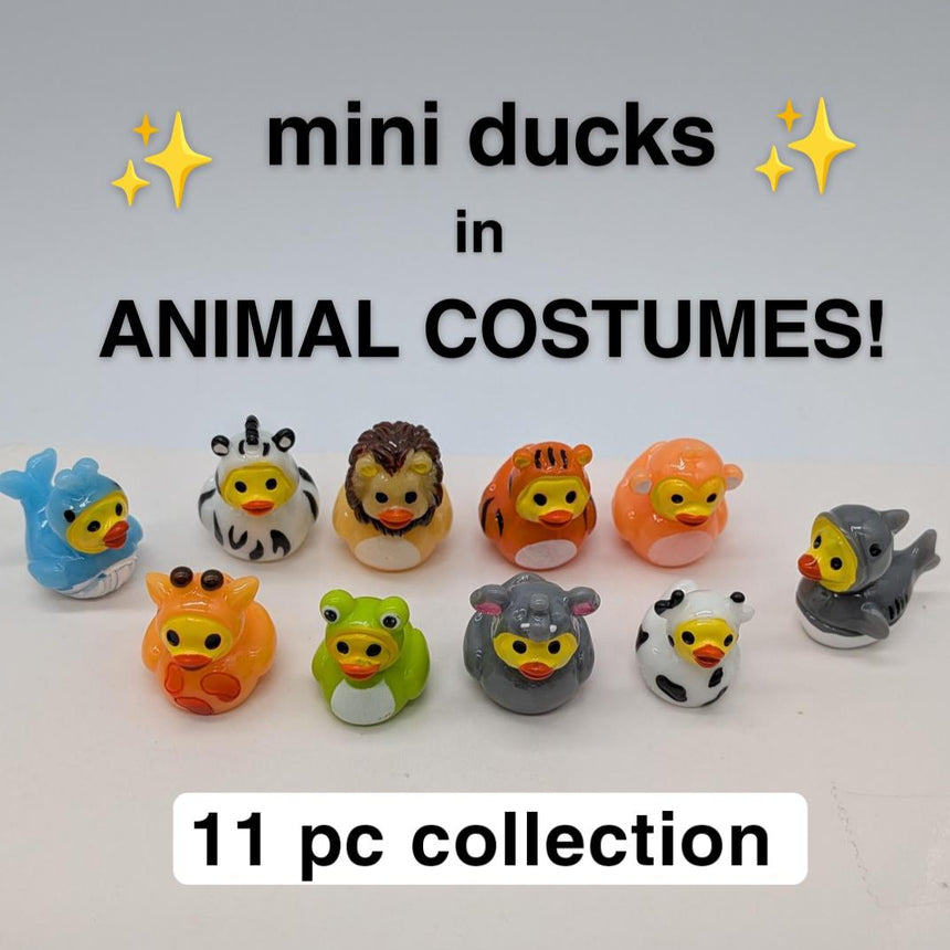 11 pc Mini Animal Costume Ducks