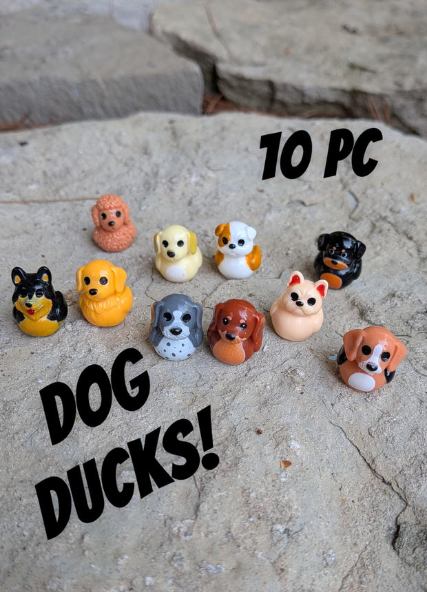 10 pc Mini Dog Ducks
