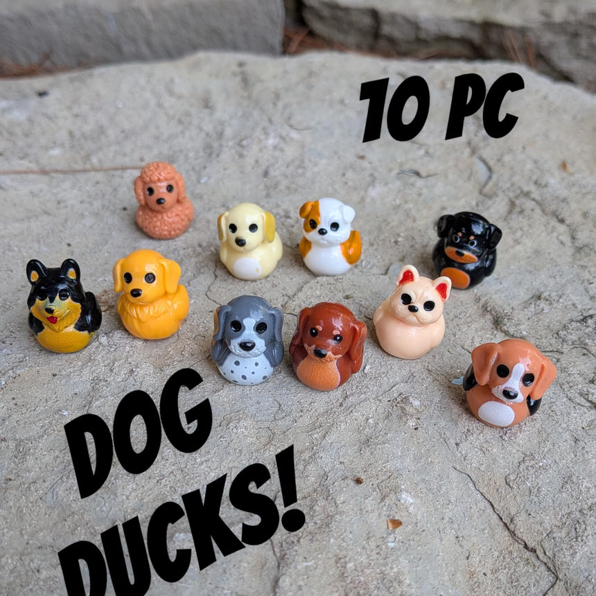 10 pc Mini Dog Ducks