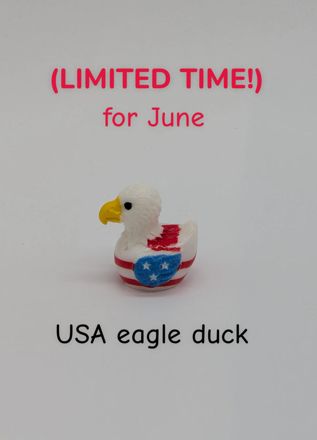 CHOOSE YOUR OWN: Mini Duck Collection
