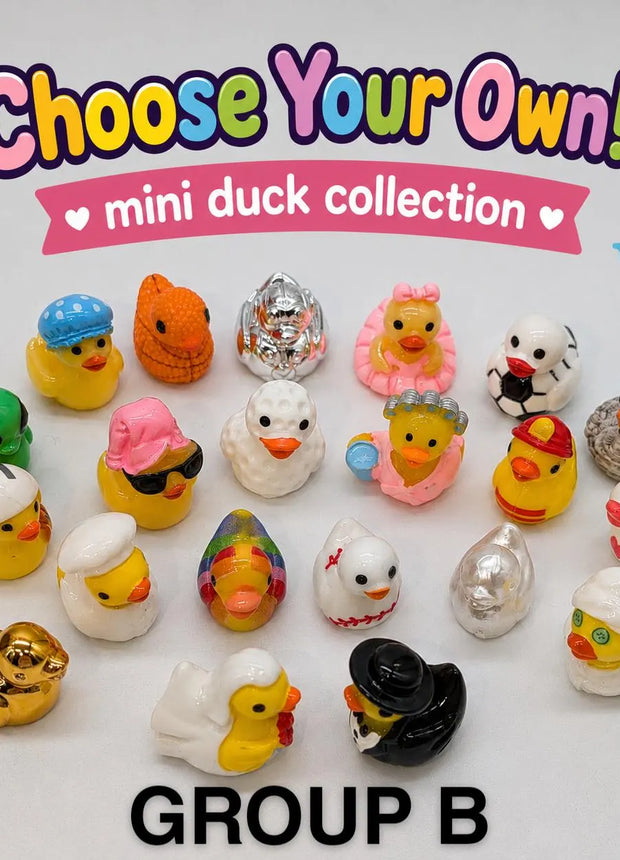 CHOOSE YOUR OWN: Mini Duck Collection (GROUP B)