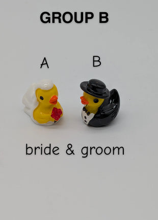 CHOOSE YOUR OWN: Mini Duck Collection (GROUP B)