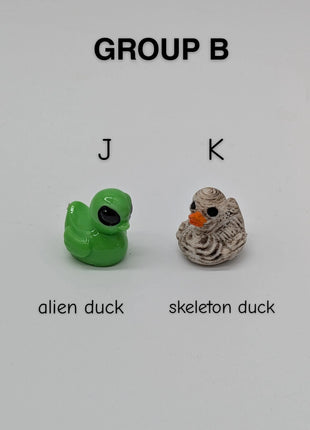 CHOOSE YOUR OWN: Mini Duck Collection (GROUP B)