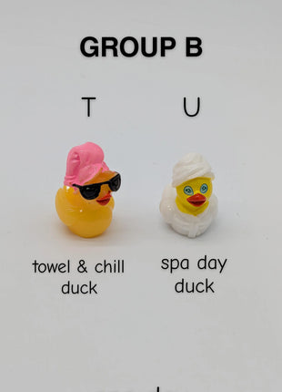 CHOOSE YOUR OWN: Mini Duck Collection (GROUP B)