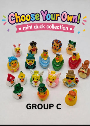 CHOOSE YOUR OWN: Mini Duck Collection (GROUP C)