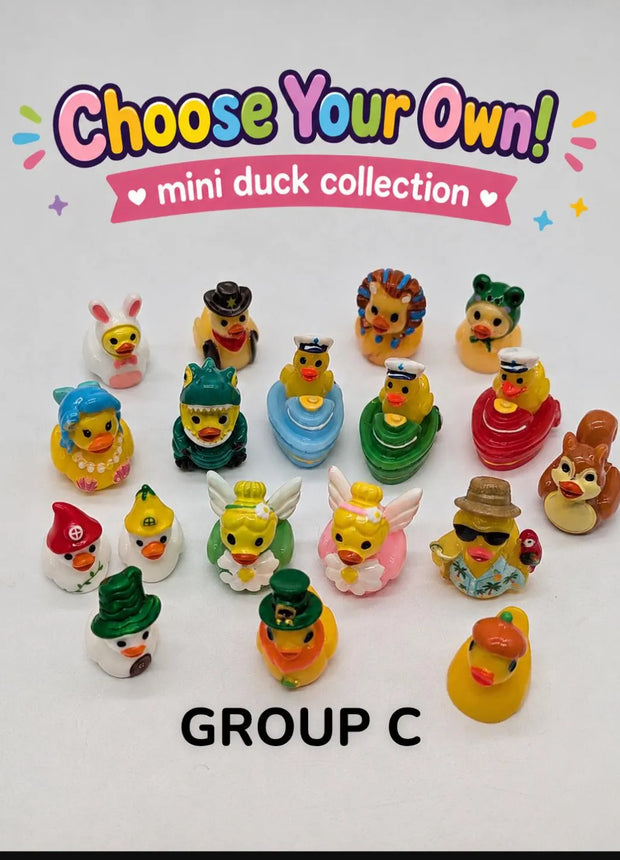 CHOOSE YOUR OWN: Mini Duck Collection (GROUP C)