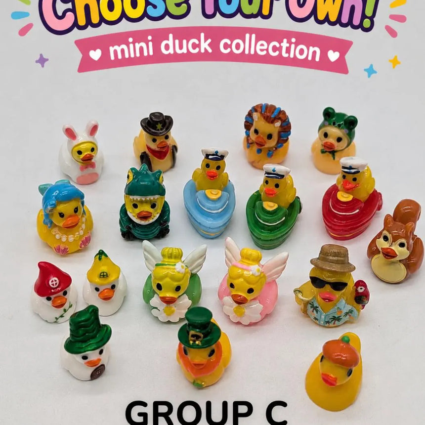 CHOOSE YOUR OWN: Mini Duck Collection (GROUP C)