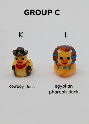 CHOOSE YOUR OWN: Mini Duck Collection (GROUP C)