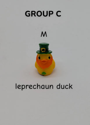CHOOSE YOUR OWN: Mini Duck Collection (GROUP C)