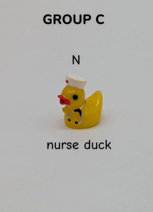 CHOOSE YOUR OWN: Mini Duck Collection (GROUP C)