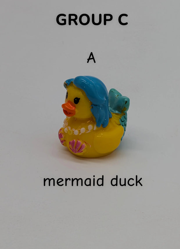 CHOOSE YOUR OWN: Mini Duck Collection (GROUP C)