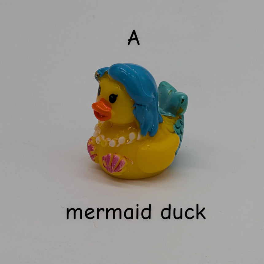 CHOOSE YOUR OWN: Mini Duck Collection (GROUP C)