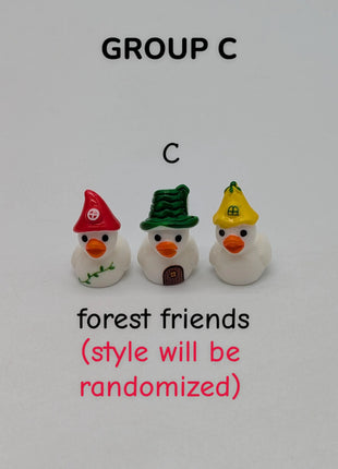 CHOOSE YOUR OWN: Mini Duck Collection (GROUP C)
