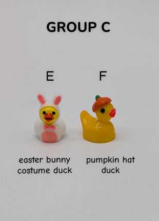 CHOOSE YOUR OWN: Mini Duck Collection (GROUP C)
