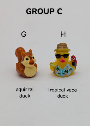 CHOOSE YOUR OWN: Mini Duck Collection (GROUP C)