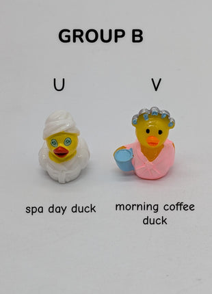 CHOOSE YOUR OWN: Mini Duck Collection (GROUP B)