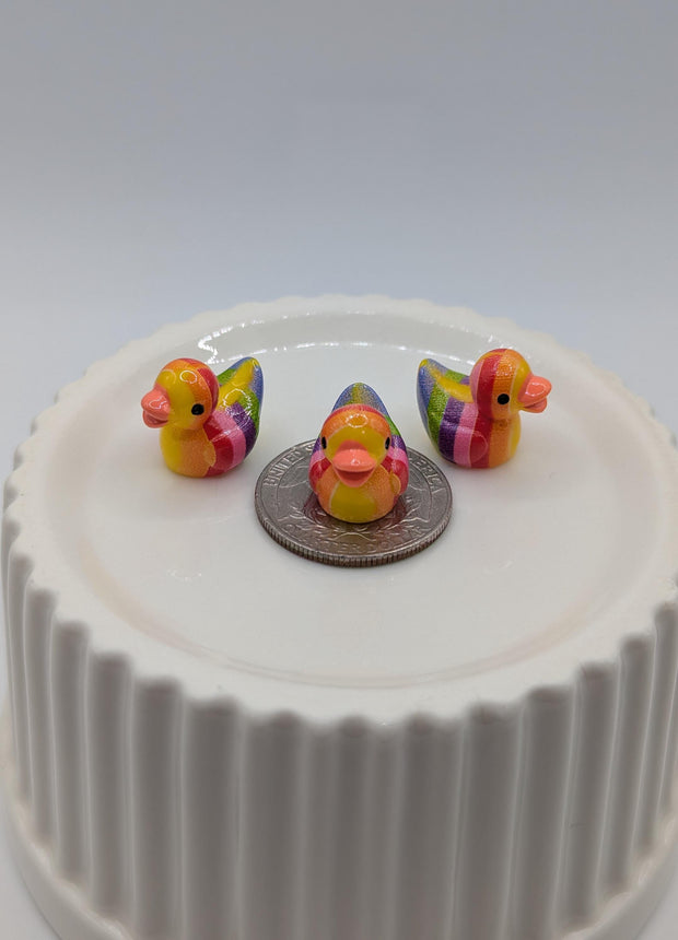 10 pc Mini Rainbow Ducks