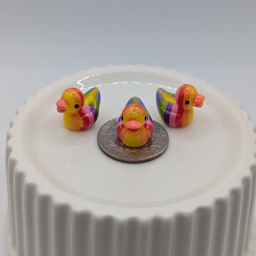 10 pc Mini Rainbow Ducks