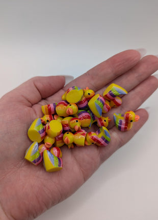 10 pc Mini Rainbow Ducks