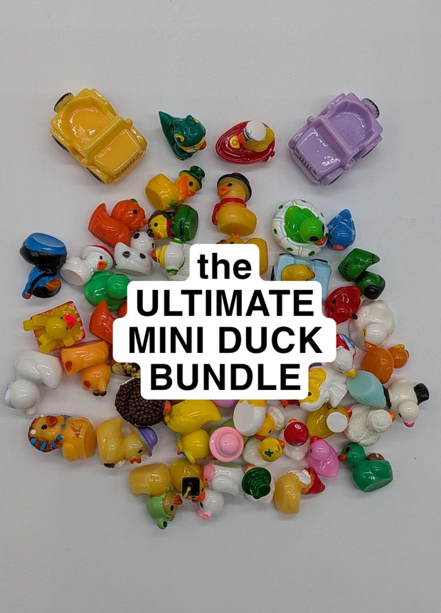 ULTIMATE DUCK BUNDLE - 75+ Mini Resin Ducks & MORE
