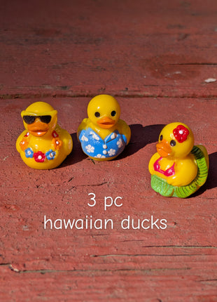 3 pc Mini Hawaii Ducks