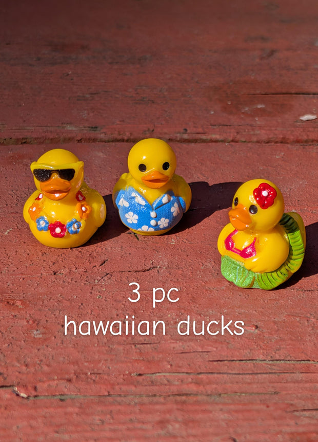 3 pc Mini Hawaii Ducks