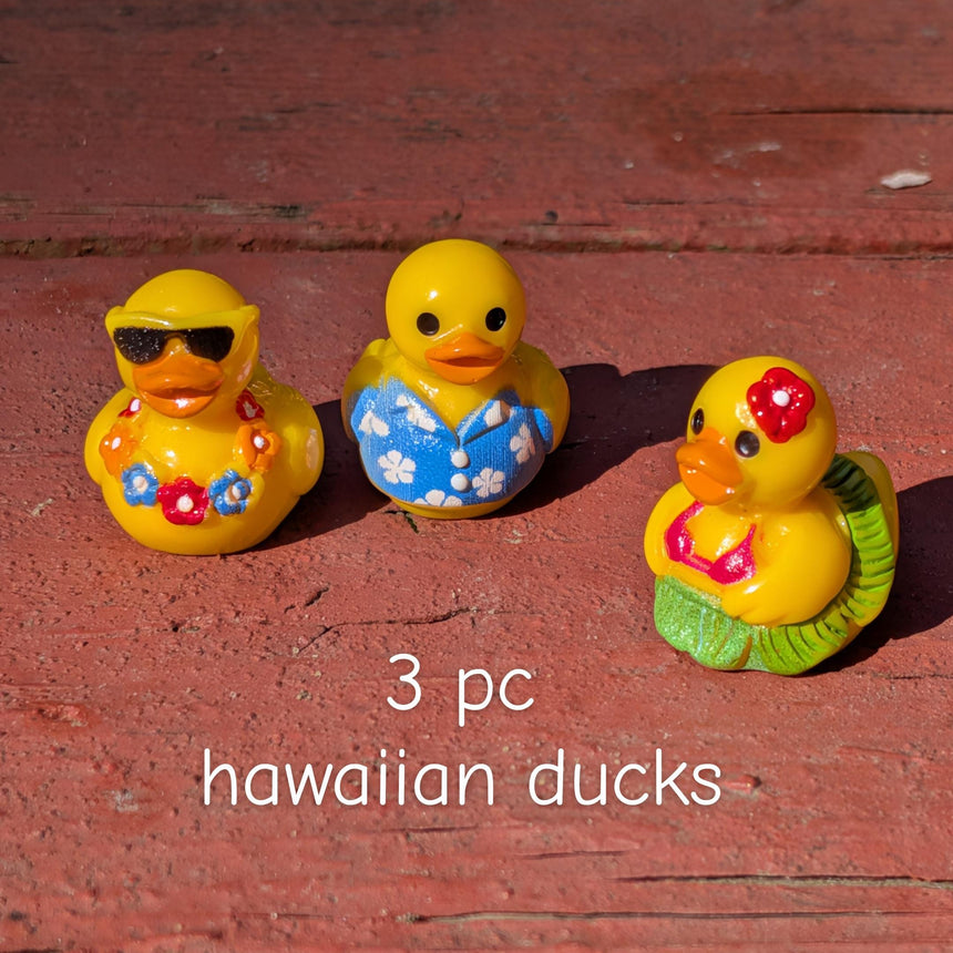 3 pc Mini Hawaii Ducks