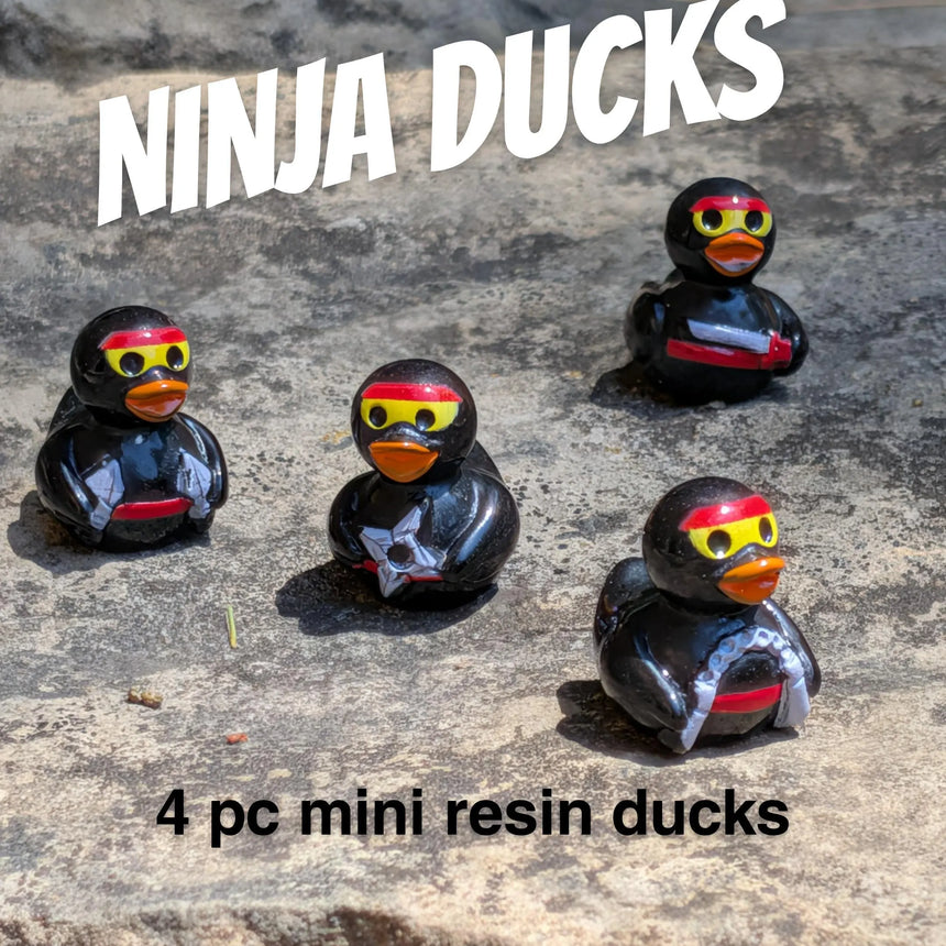4 pc Mini Ninja Ducks
