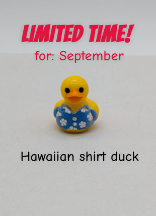 CHOOSE YOUR OWN: Mini Duck Collection (GROUP A)