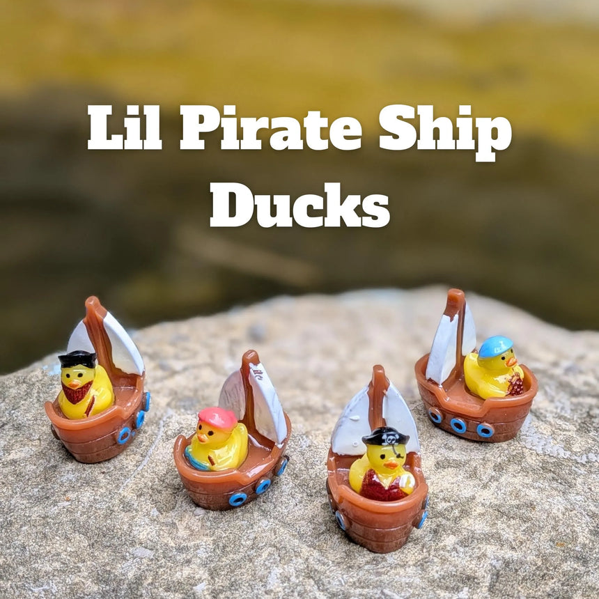 4 pc Pirate Ship Ducks