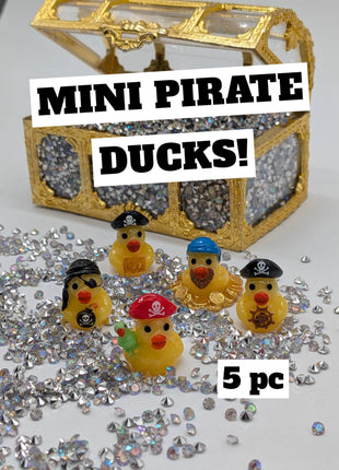 Mini Pirate Crew Ducks (5 pc)