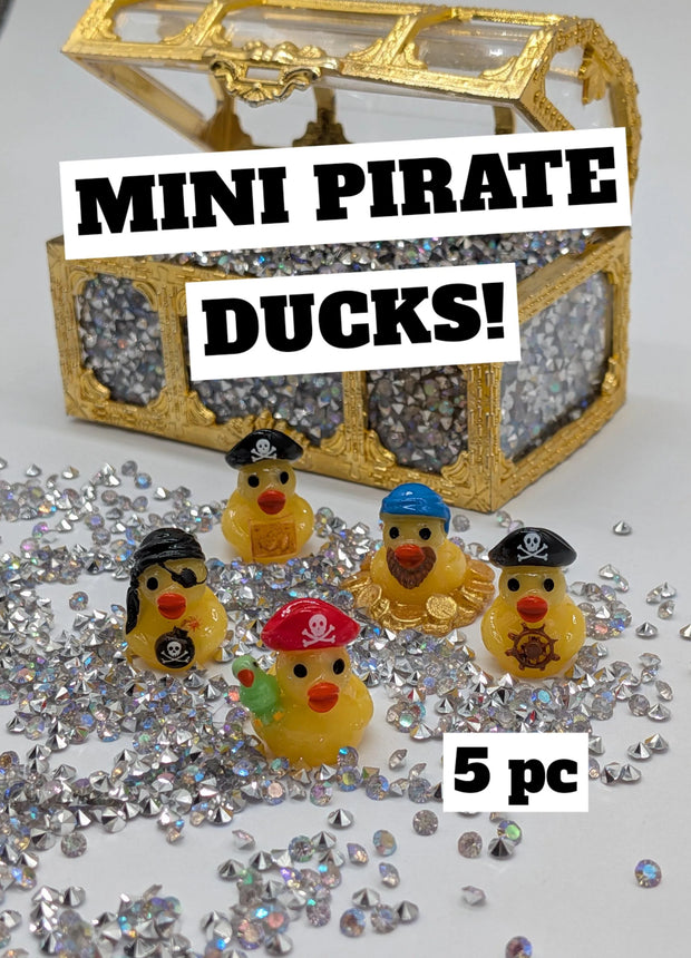 Mini Pirate Crew Ducks (5 pc)