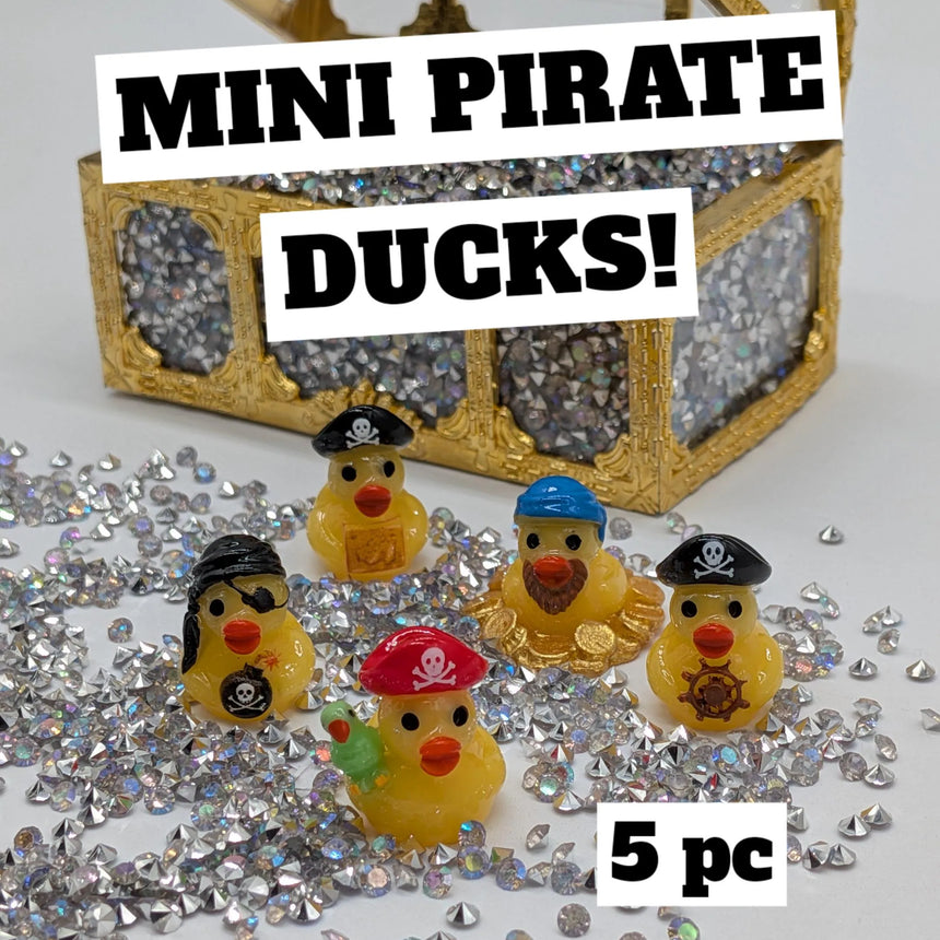 Mini Pirate Crew Ducks (5 pc)