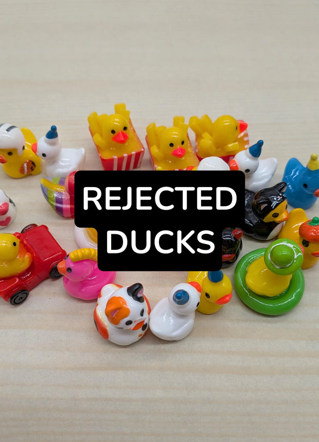 REJECT DUCKS (and sometimes other charms)