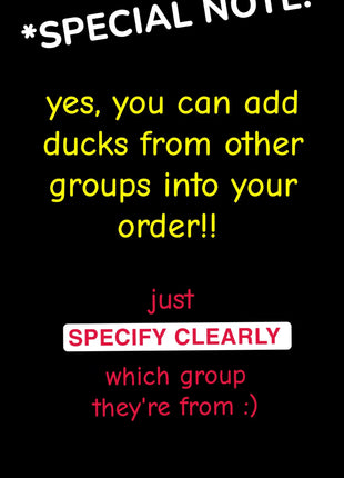 CHOOSE YOUR OWN: Mini Duck Collection (GROUP B)