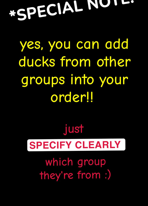 CHOOSE YOUR OWN: Mini Duck Collection (GROUP B)