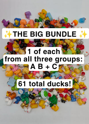 The Big Bundle! 1 of Each Duck - All Groups: A, B, C.